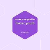 Sensory Kit for Foster Youth 4.0