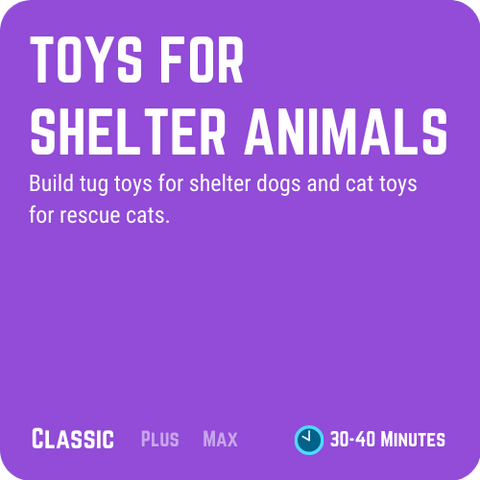 Medtronic Toys for Shelter Animals