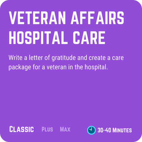 Medtronic Veteran Affairs Hospital Care